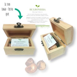 Bulboniera con baule in legno bomboniera da personalizzare e bulbi piantabili