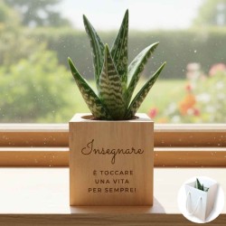 Idea regalo maestre: pianta grassa in vaso di legno personalizzabile per fine anno scolastico