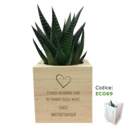 Idea regalo maestre: pianta grassa in vaso di legno personalizzabile per fine anno scuola