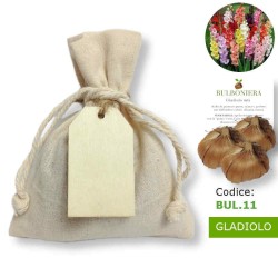 Bomboniera matrimonio originale e utile con bulbi gladiolo da piantare personalizzabile