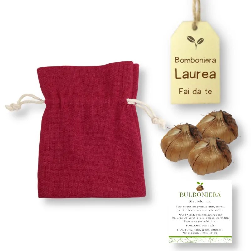 Kit bomboniera laurea fai da te originale con bulbi, sacchetto rosso e tag personalizzato