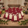 Kit bomboniera laurea fai da te piantabile con bulbi, sacchetto rosso e tag personalizzato