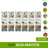 kit Eco-matita da piantare e far germogliare