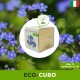 Idea regalo eco-cubi Green piante e fiori non ti scordar di me