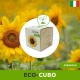 Idea regalo eco-cubi Green che germogliano girasole