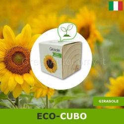 Eco-cubi Green idea regalo ecologica di natale da piantare