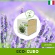Idea regalo eco-cubo Green che germoglia lavanda