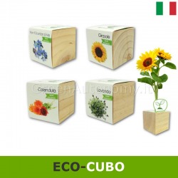 Eco-cubi Green idea regalo ecologica per lui, lei da piantare