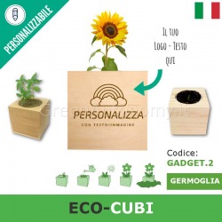 Eco-gadget eco-cubi piante e fiori in cubi di legno da personalizzare