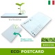 Eco-postcard basilico piante e fiori in cartolina-regalo da colorare