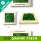 Quadro green con piante di lichene verde stabilizzato e cornice personalizzabile