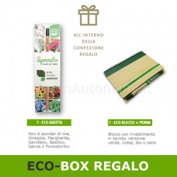 Eco-box regalo 1 con matita piantabile e blocco note bambu con penna