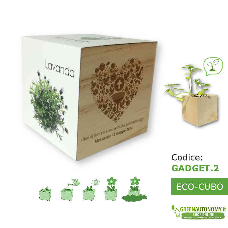 gadget-aziendale-eco-cubo-pianta-lavanda-da-personalizzare