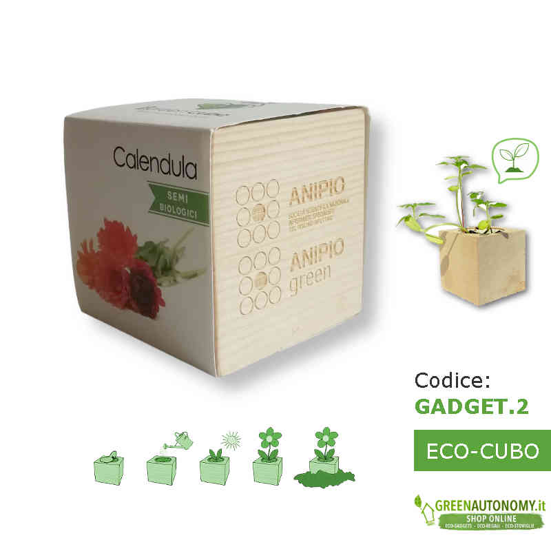 gadget-aziendale-eco-sostenibile-eco-cubo-calendula-da-piantare