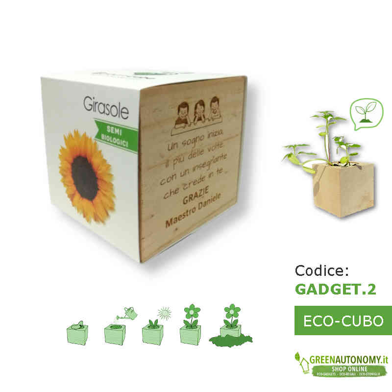 gadget-aziendale-green-eco-cubo-girasole-da-piantare